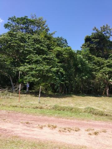 Lote Condomínio Ecológico Denpasa - Foto 9