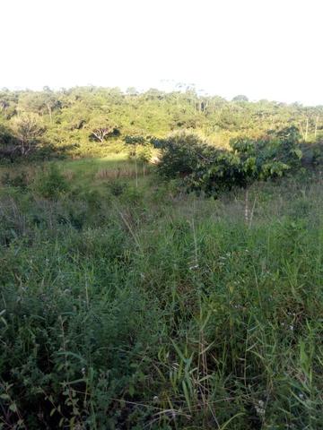 Sitio,granja de 11 hectare - Foto 5