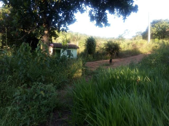 Sitio,granja de 11 hectare - Foto 3