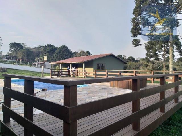 Ch0181 são josé dos pinhais chácara 4 alq. plana 950 m² construído 33 km ctba - Foto 2