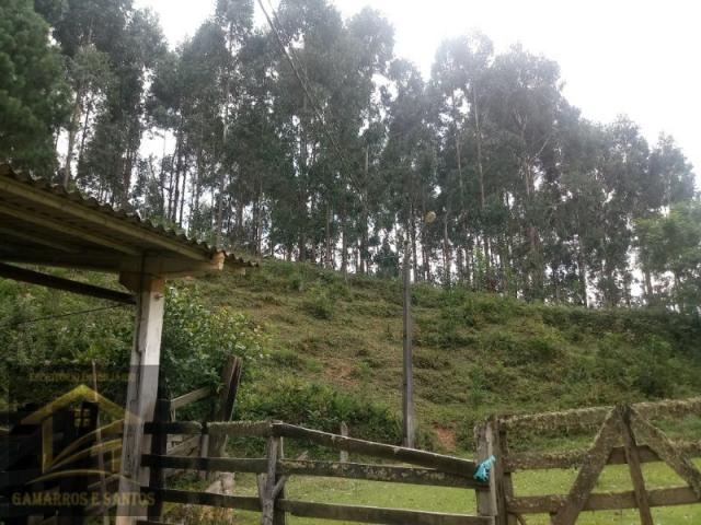 Aluga-se chácara com 18 alqueires com casa e estrutura para criação de gado - Foto 14