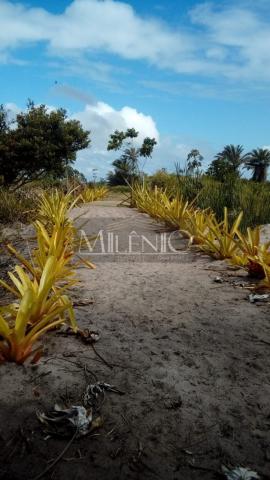 Terreno à venda em Taipu de fora, Maraú cod:57863649 - Foto 14