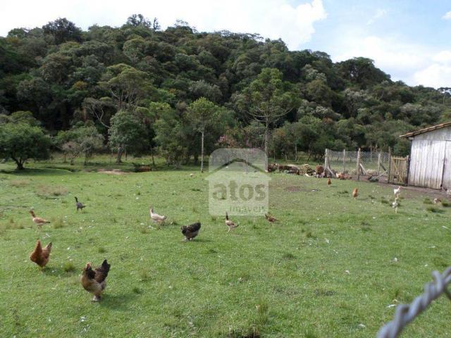 Chácara residencial à venda. - Foto 20