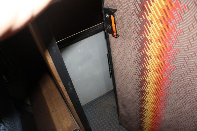 Onibus dipromata nielson - Foto 8