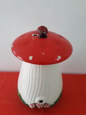 Talha Cogumelo - Foto 2