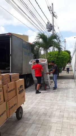 Mudanças municipais e interestaduais residencial ou comercial, peça já seu orçamento...