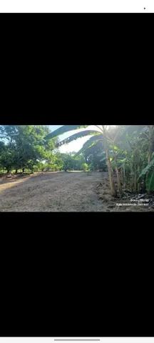 Terreno Grande na FAZENDINHA  - Foto 4