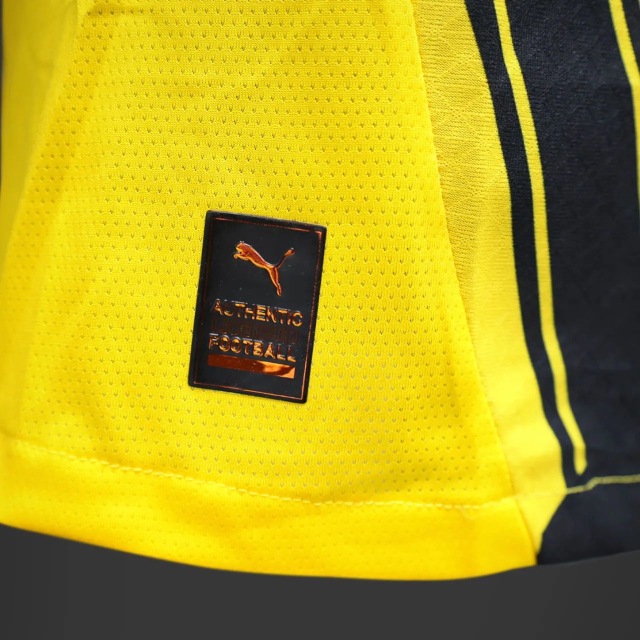 Camisa Borussia Dortmund 24/25 Versão Jogador Especial - Foto 6