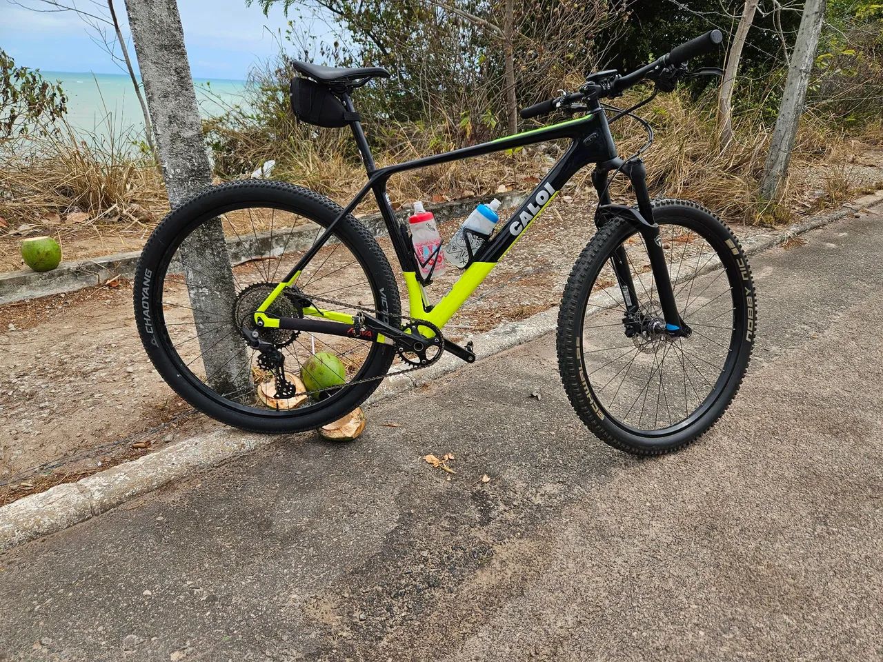 Caloi Elite Carbon Racing-L