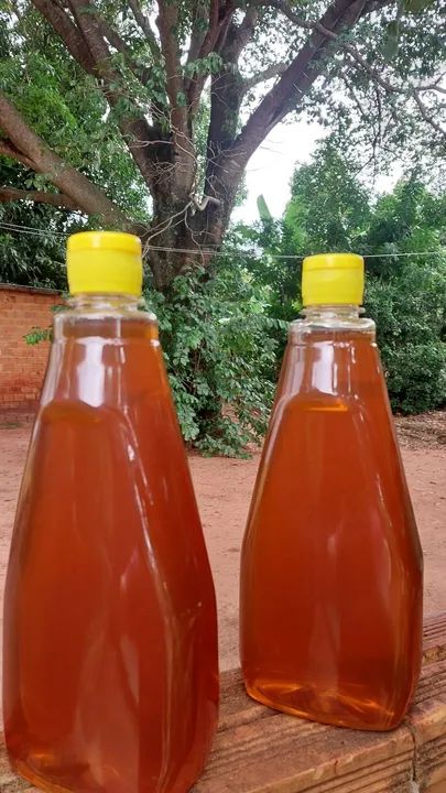 Mel de abelha puro e natural