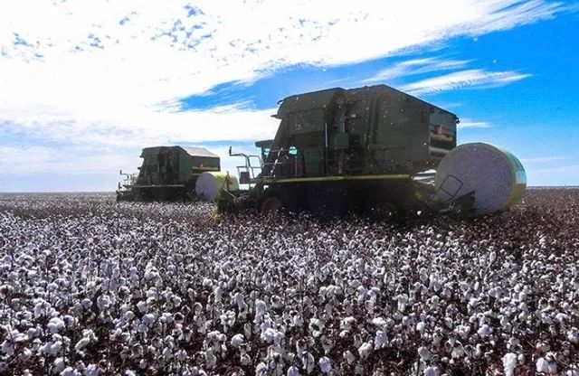 Fazenda de 16.943 ha em Primavera do Leste- MT - Foto 4