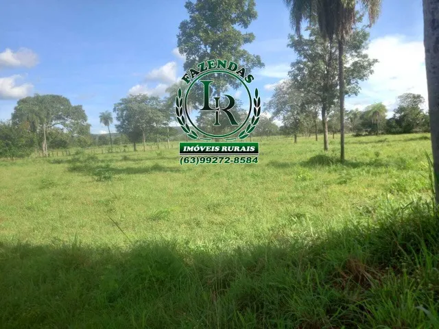 Fazenda / chácara 27 Alqueires Próximo a Porto Nacional