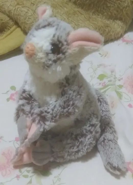 04 Bichinhos de Pelúcia  - Foto 5