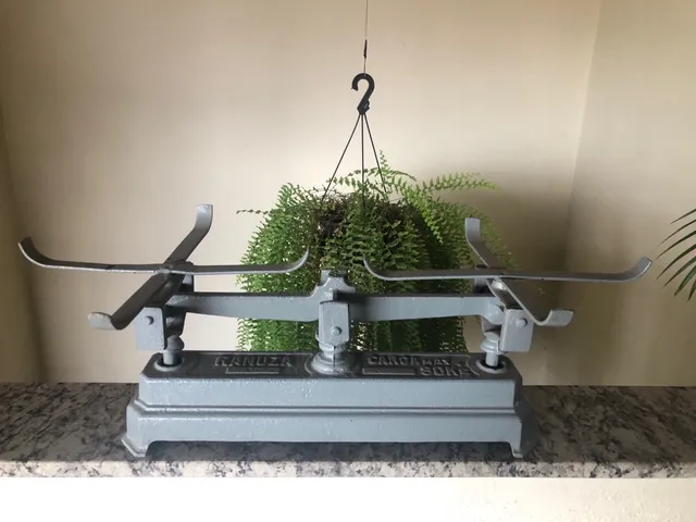 Balança de pesos RAMUZA - 30 kg