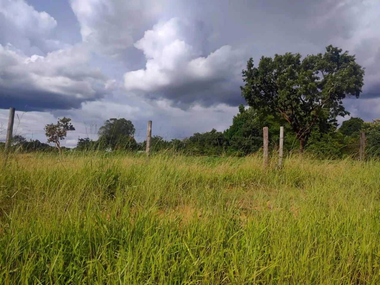 More no Que é Seu! Chácaras a prestação! em Novo Gama 100% legalizados C/parcelas  Baixas - Foto 4