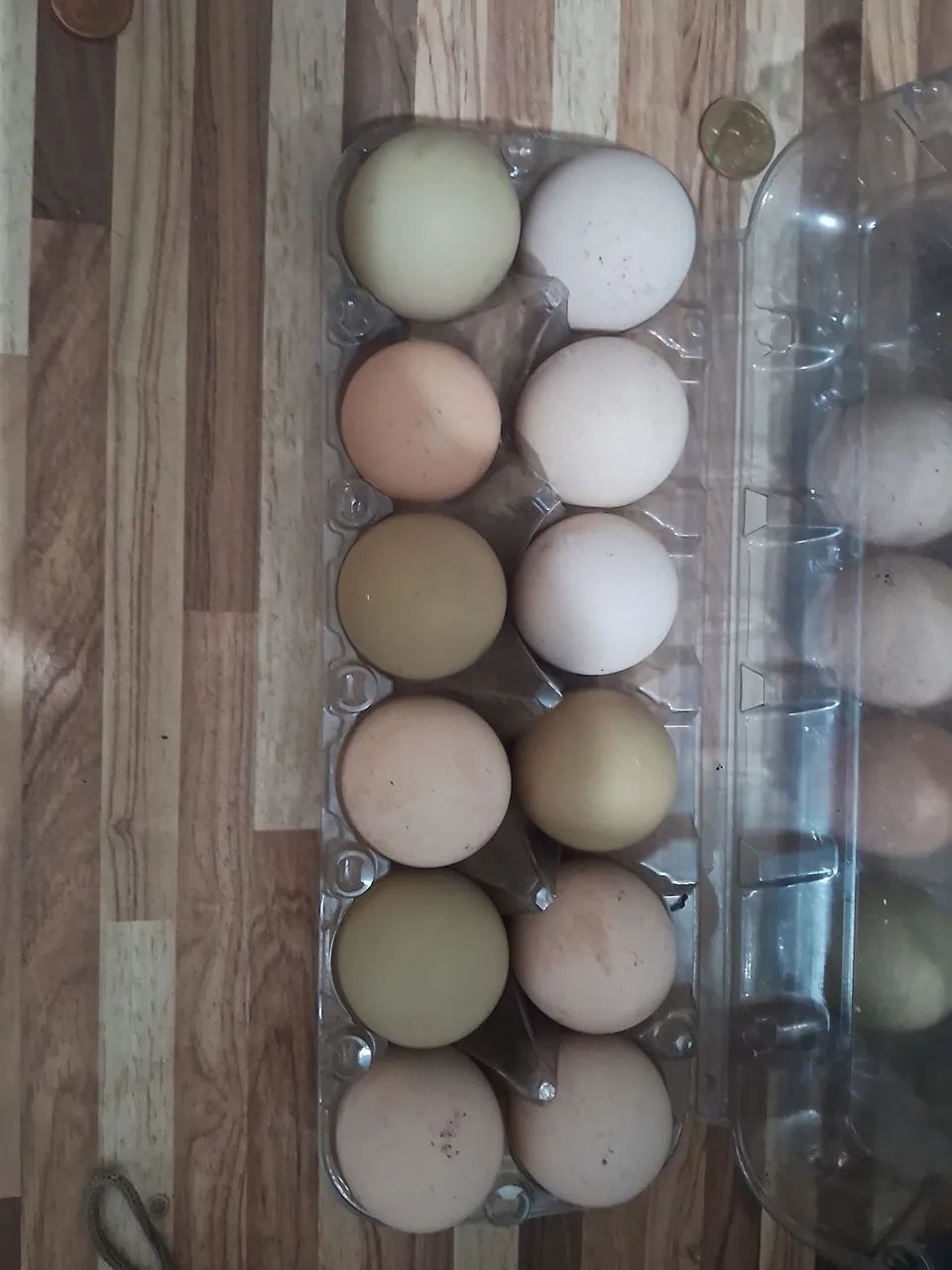 Ovos GSB galinha balão - PROMOÇÃO  - Foto 3