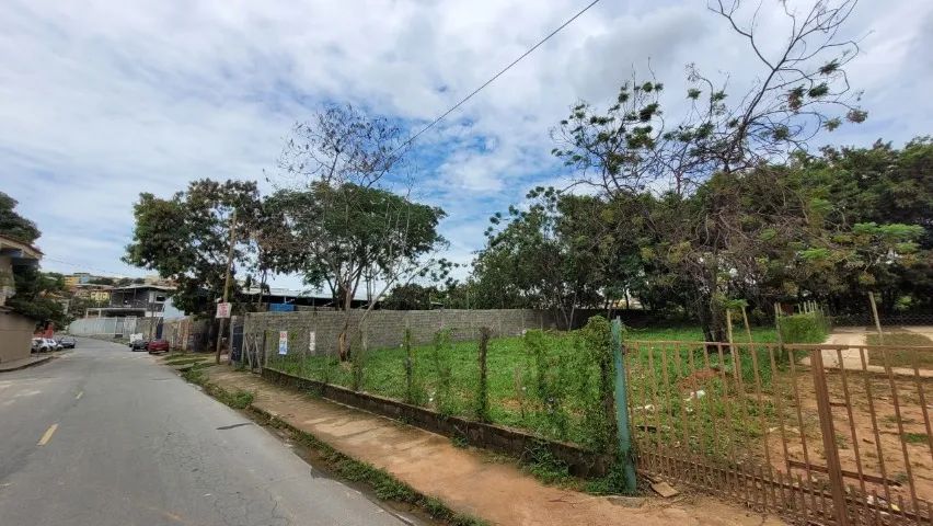 Lote com 1.156 m², excelente topografia, c/ projet - Foto 5