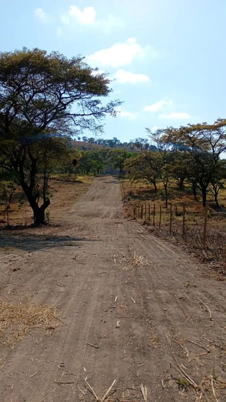 Terreno módulo rural  - Foto 4
