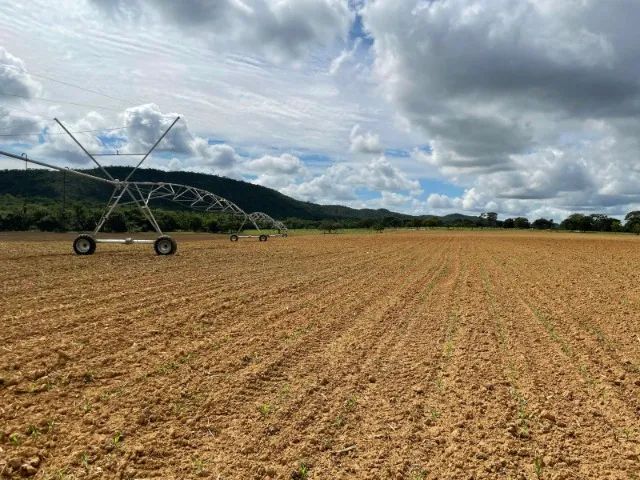 FAZENDA ESPETACUAR À VENDA - 580 HECTARES - UNAÍ - MG - Foto 2