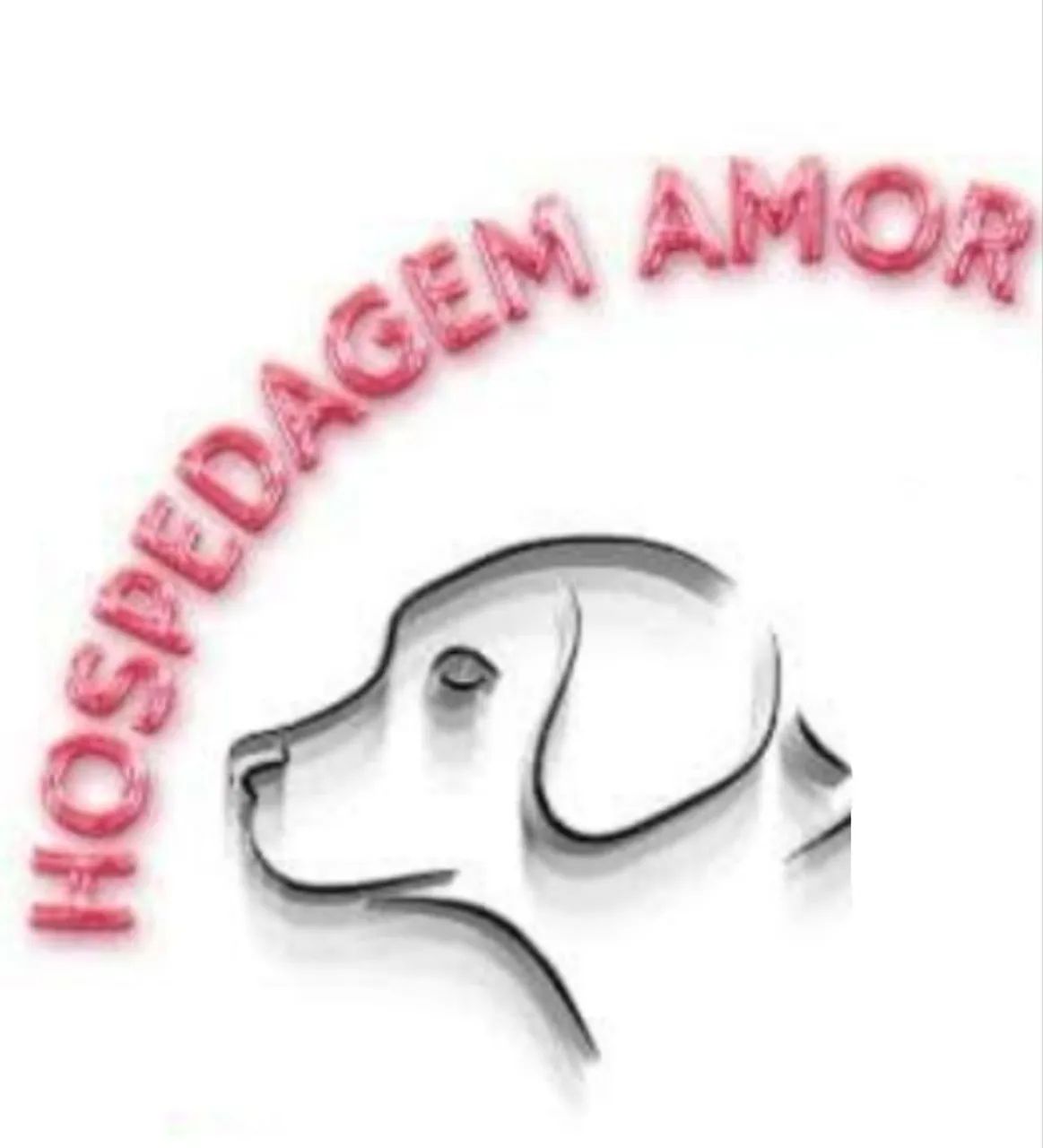 Hospedagem para Caes
