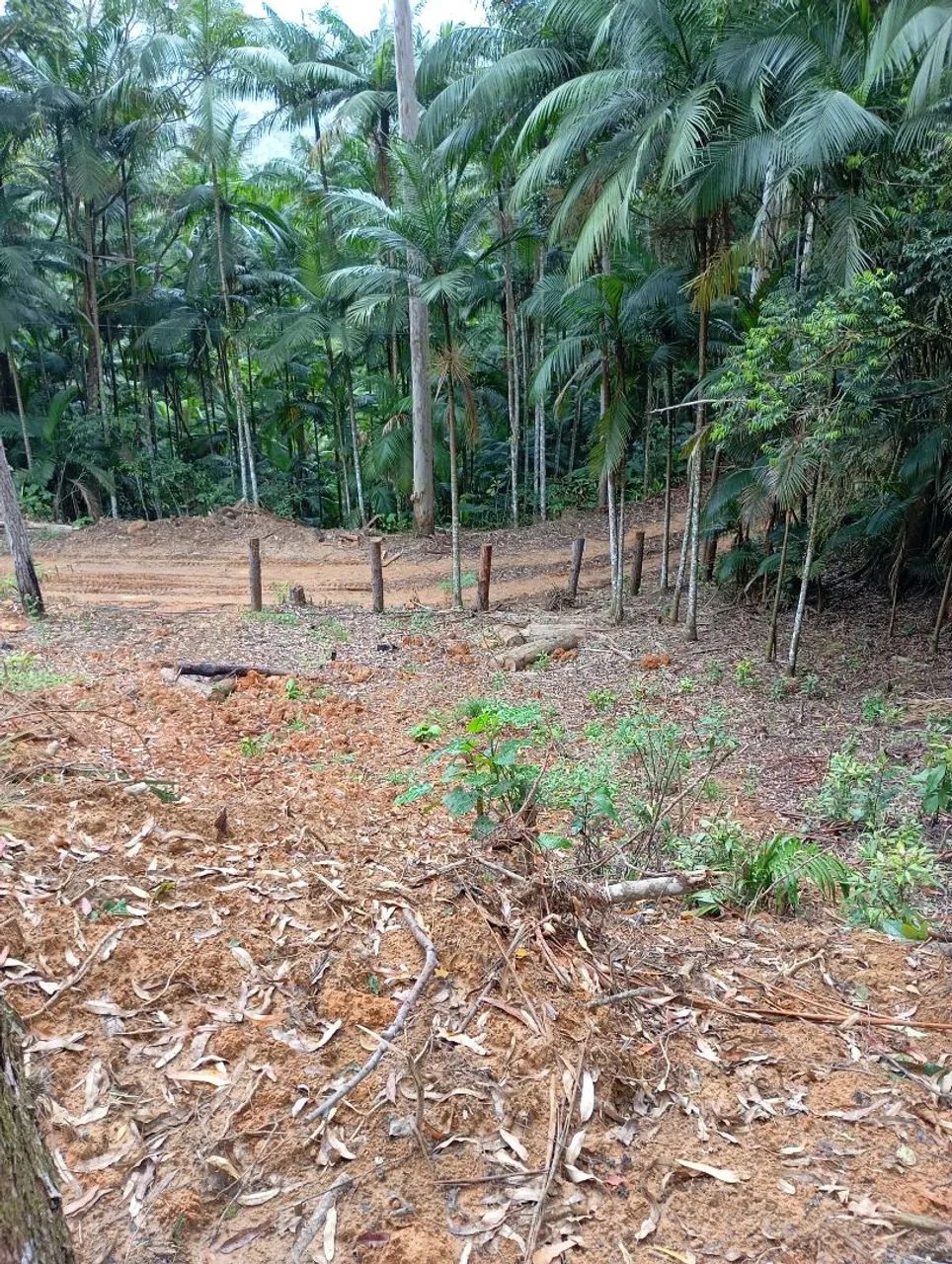 Terreno águas mornas bairro loeffelscheidt 