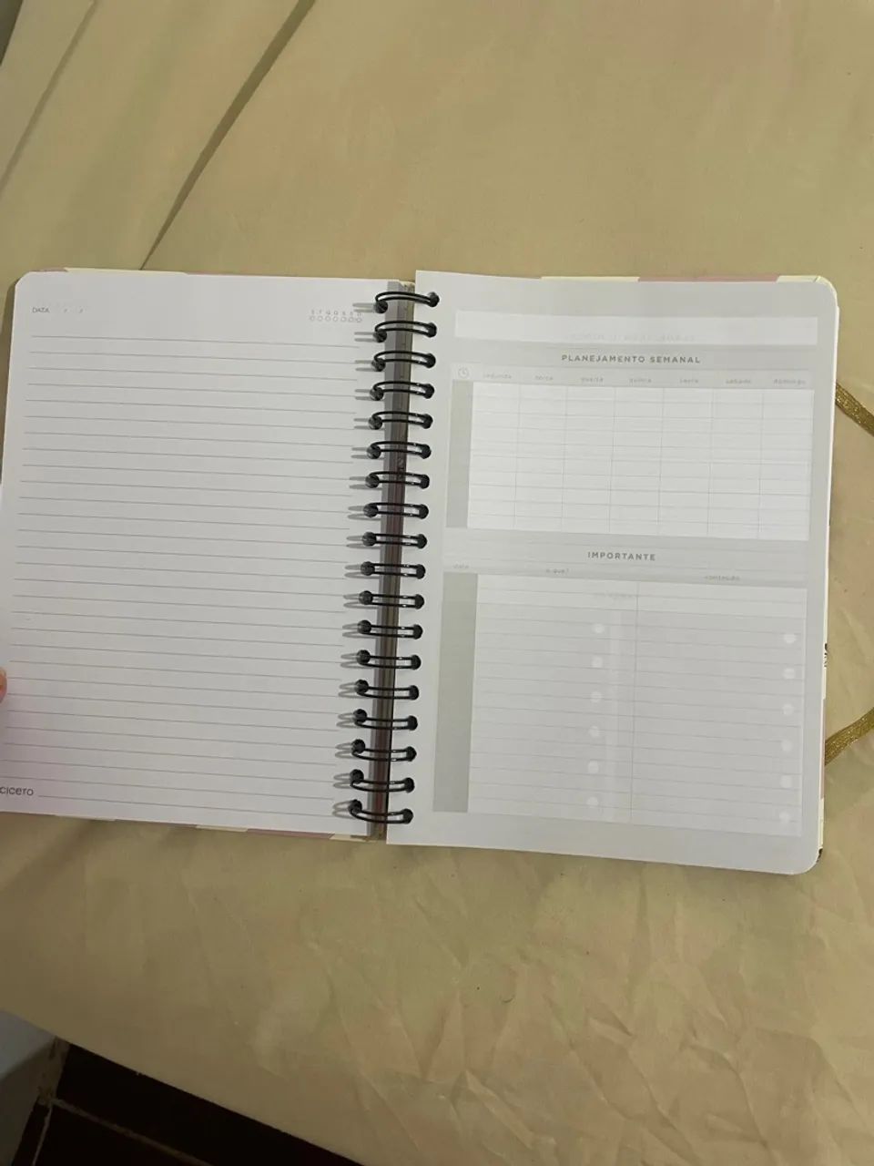 Caderno Colegial Melissa/Cicero - Pautado - 160 folhas - Foto 3