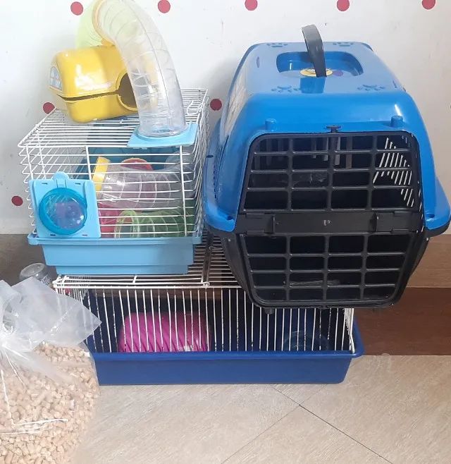 CADEIRAO INFANTIL , GAIOLAS HAMISTER  E GAIOLA TRANSPORTE PET