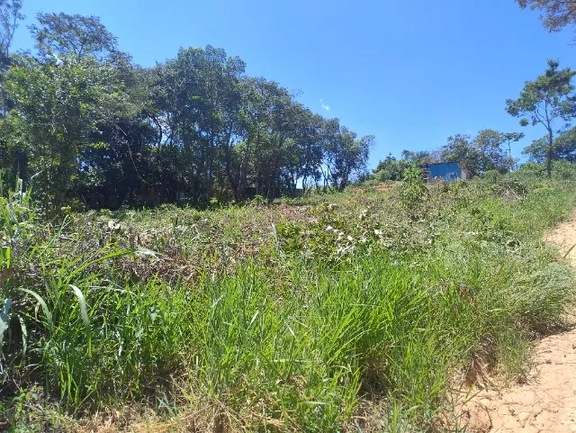 Terreno para chácara