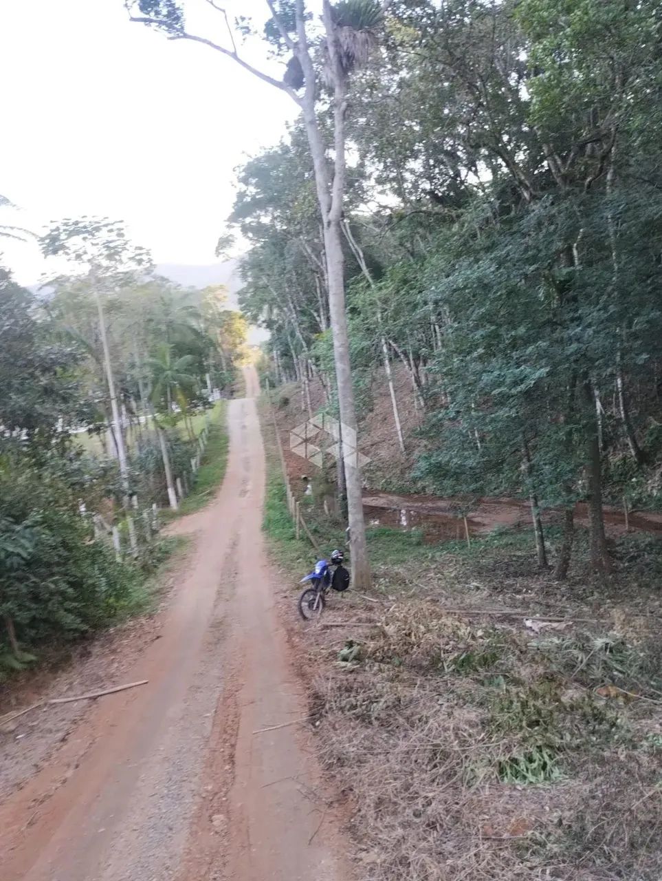 Terreno no bairro Forquilhas, em São José - SC - Foto 4