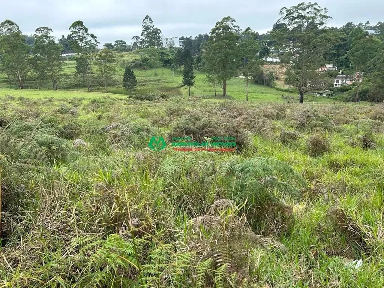 Terreno para venda em Chácara Santa Mônica de 5000.00m²