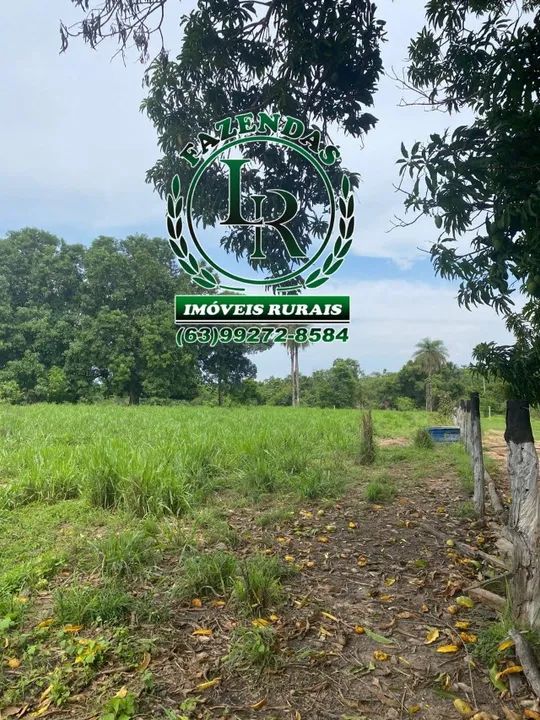 Fazenda 38 Alqueires Tocantins - Foto 5