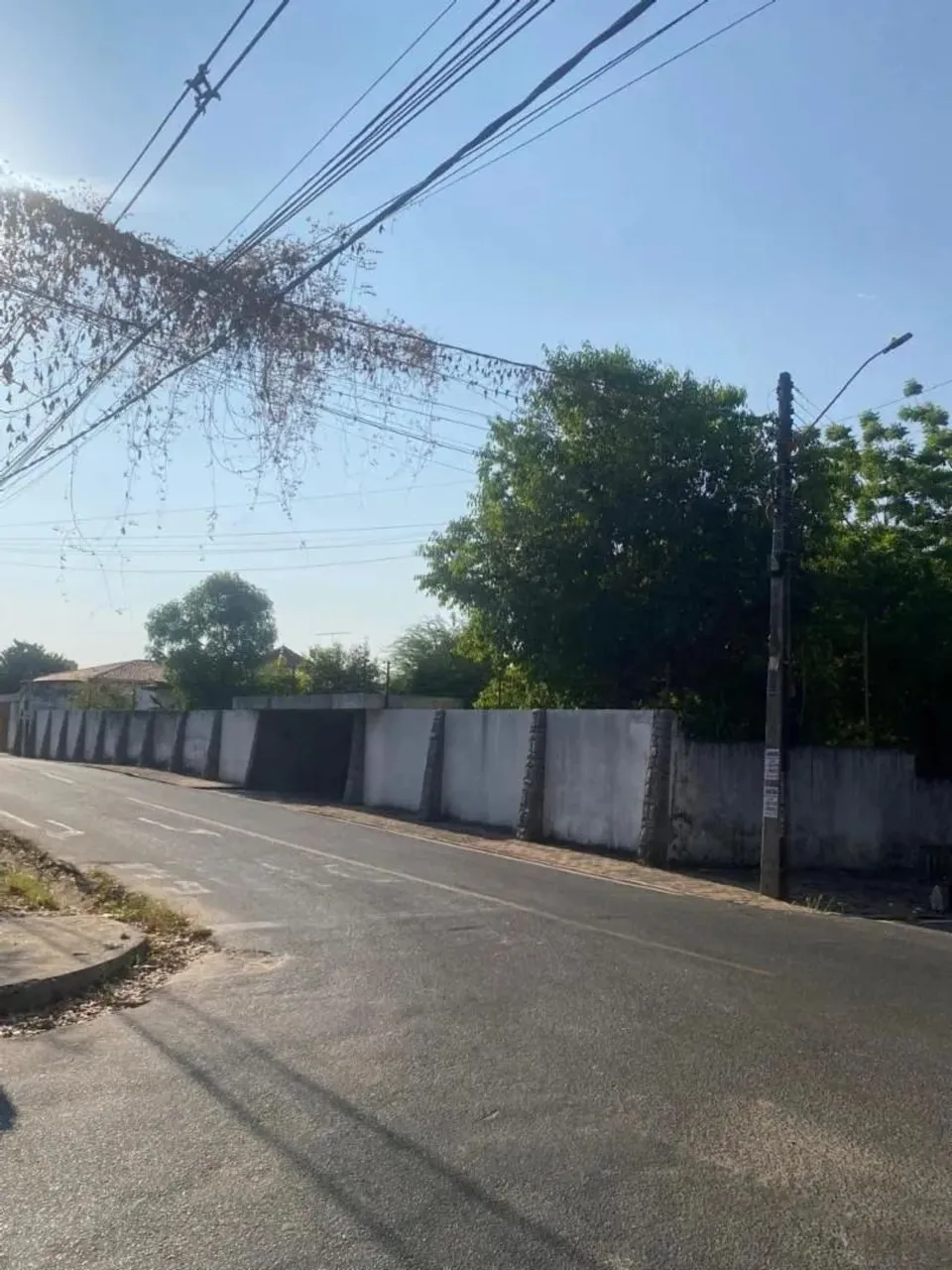 Imóvel para aluguel tem 800 metros quadrados com 4 quartos em Ininga - Teresina - PI