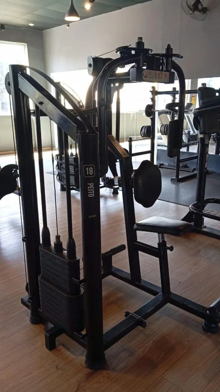 Peck Deck - Lion Fitness - Foto 2