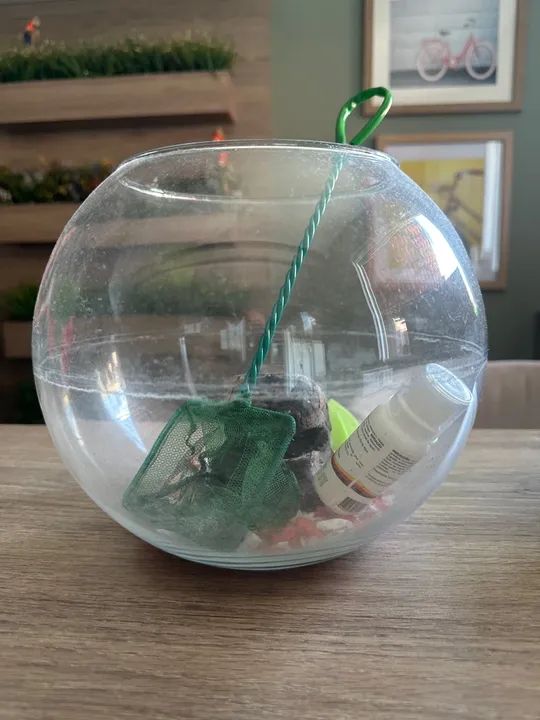 Aquário de vidro com acessórios