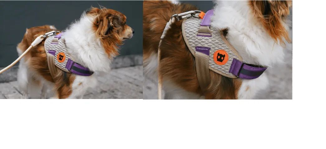 Peitoral para Cachorros ZeeDog FlyHarness 