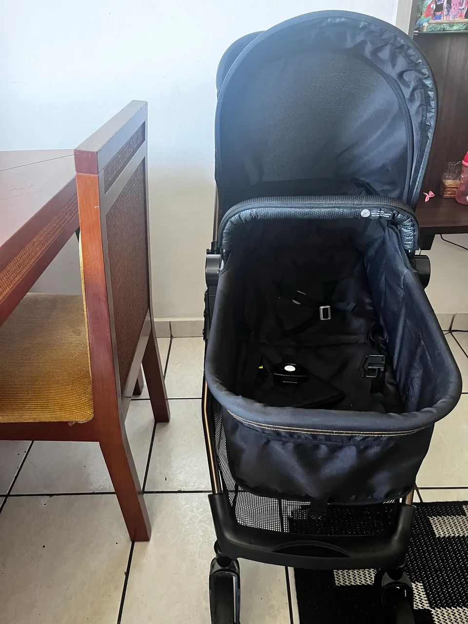 Carrinho moisés e bebe conforto galzerano