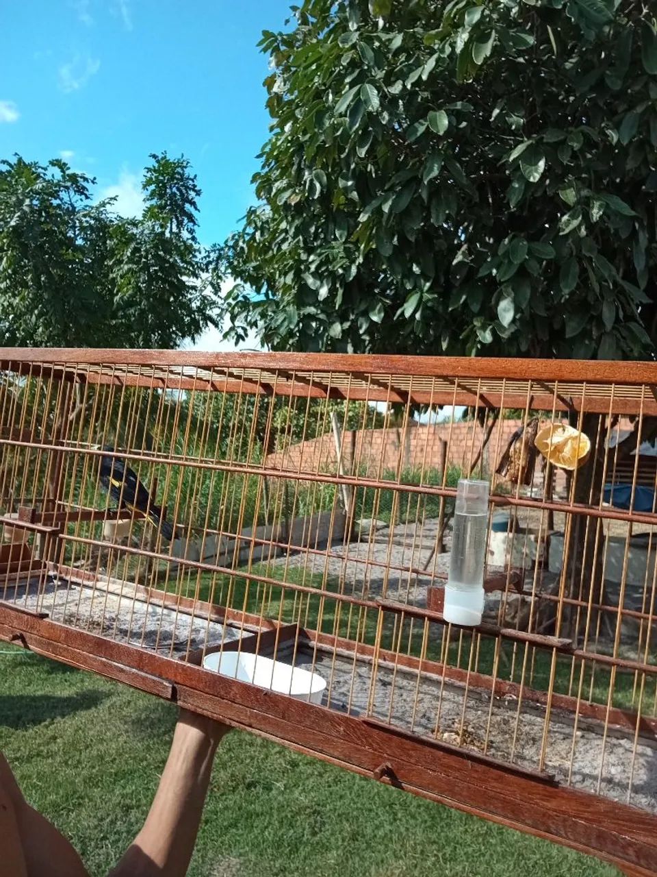 Voador novo e bom  - Foto 4