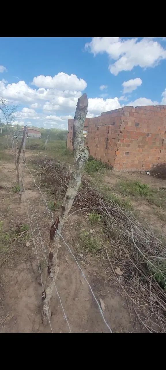 Terreno - Foto 2