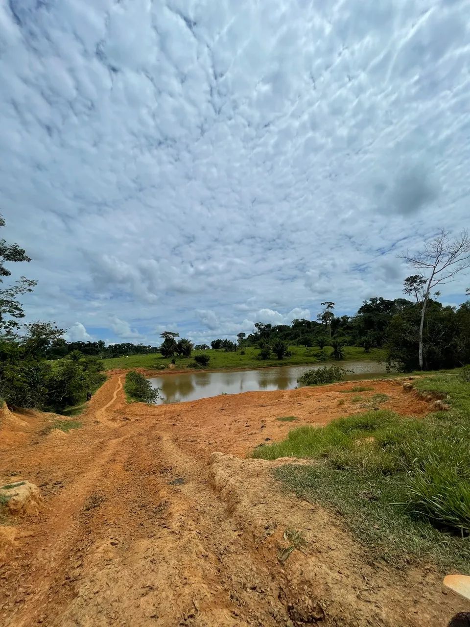 Colônia em Acrelândia  - Foto 3