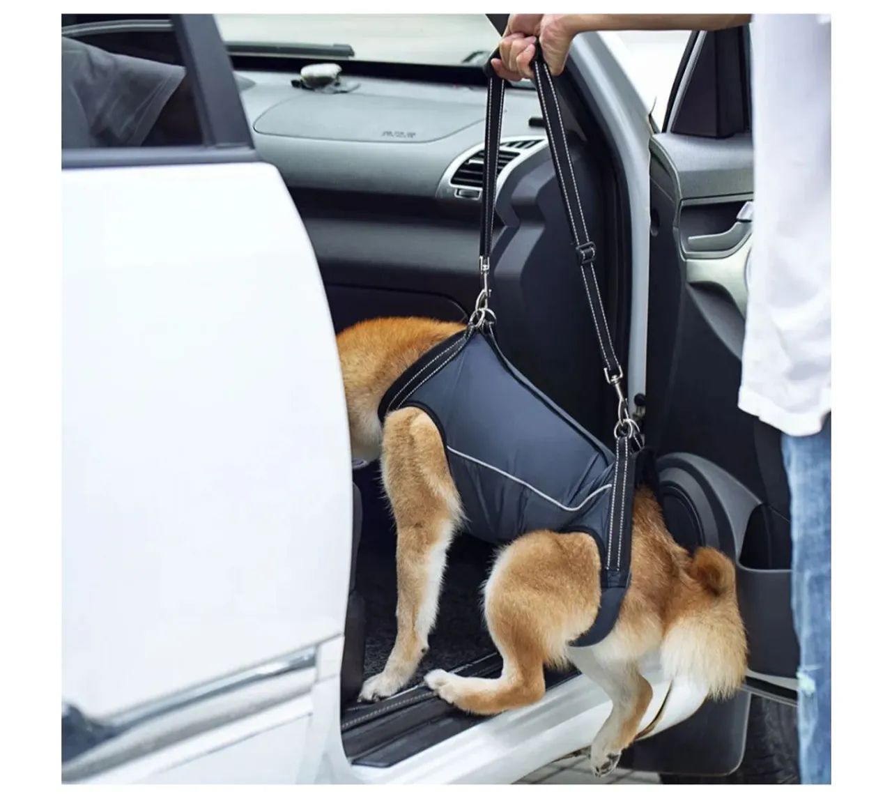 Arnês suporte para mobilidade de cães  - Foto 2