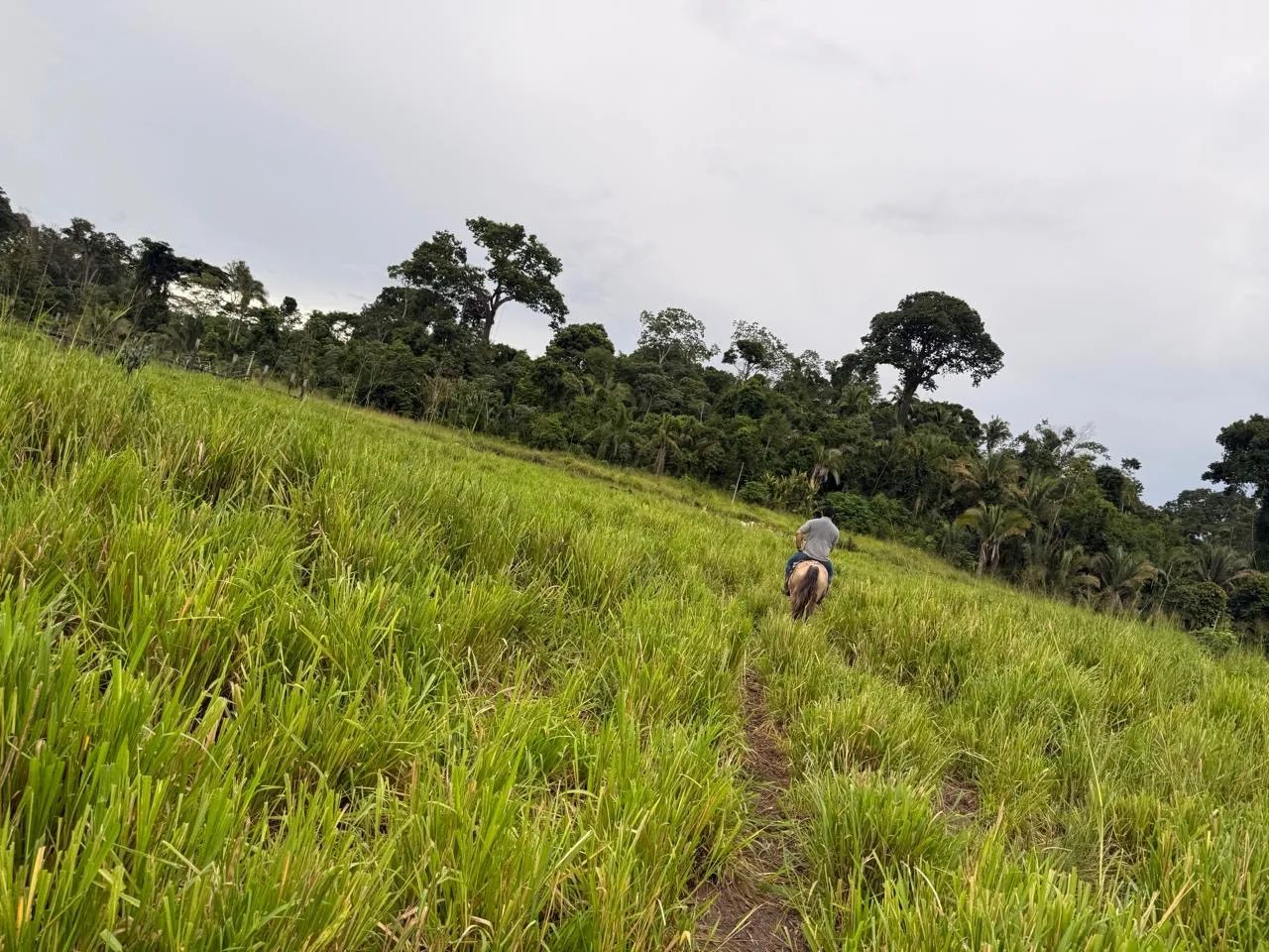 ? PROPRIEDADE RURAL À VENDA