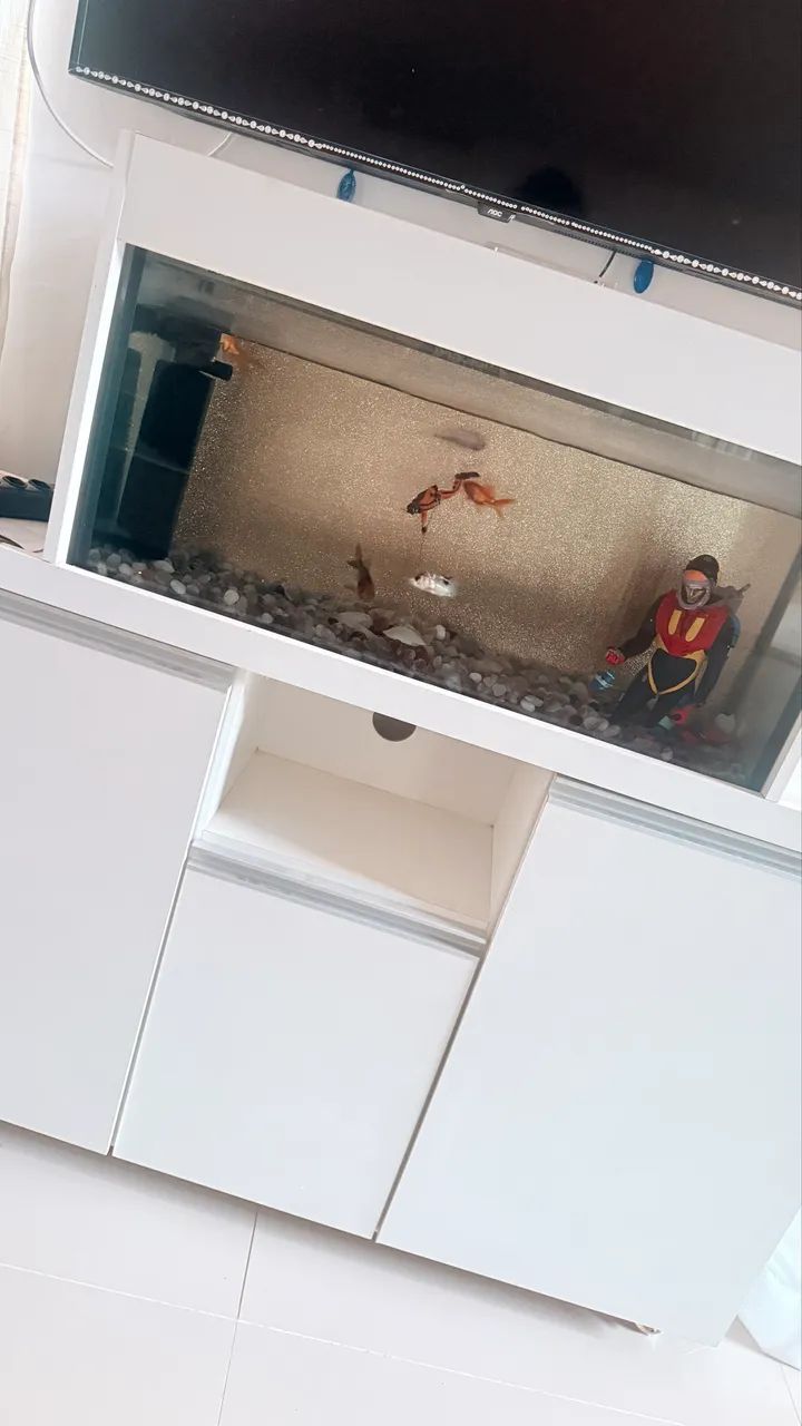 Aquário com Móvel planejado  - Foto 2