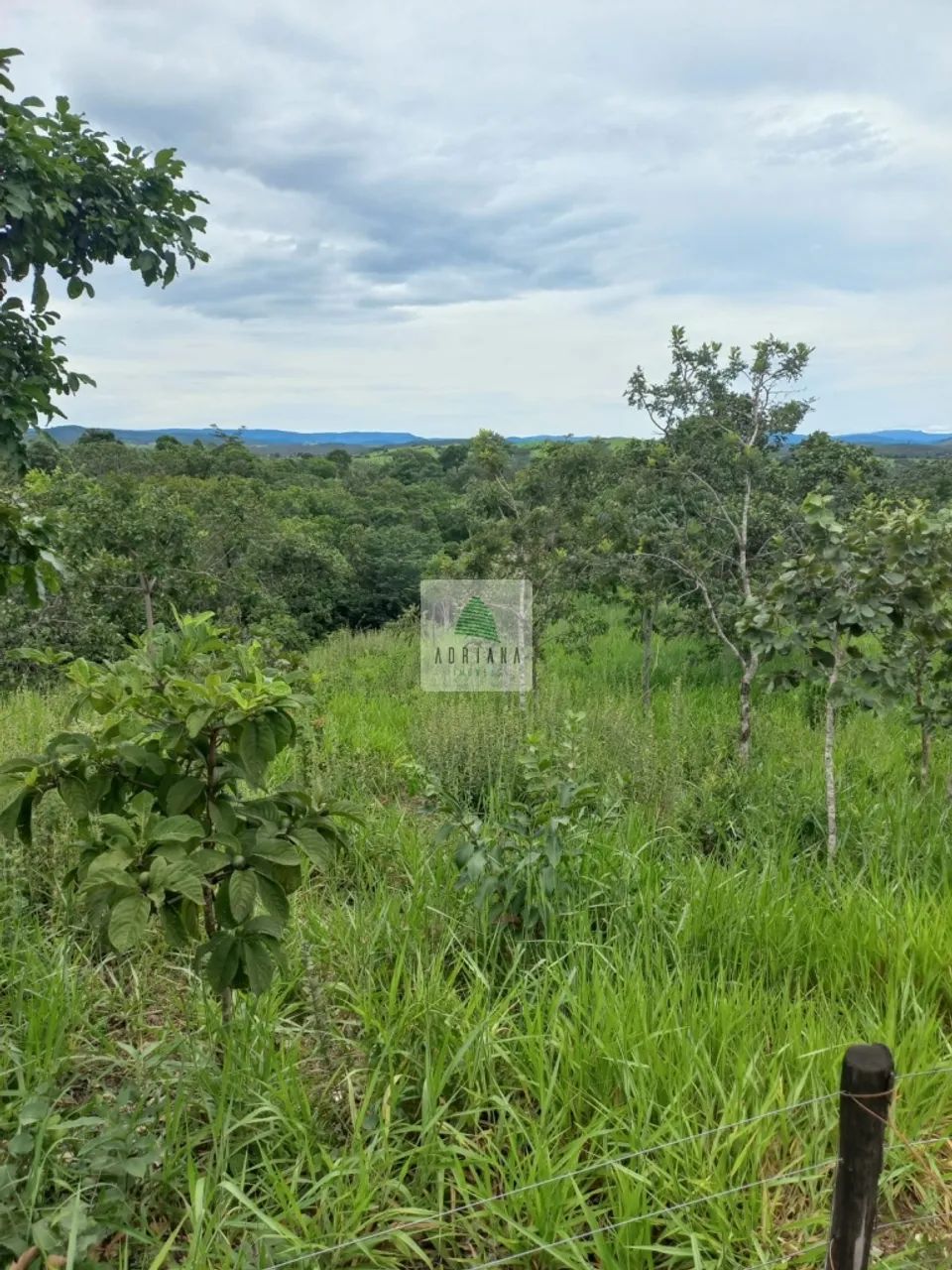 Excelente Ch&aacute;cara de Lazer com &Aacute;rea de 3 Hectares - Foto 5
