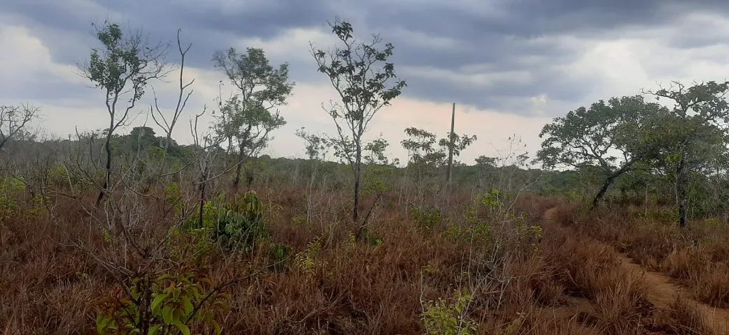 Terreno Torrão do Matapi  - Foto 5