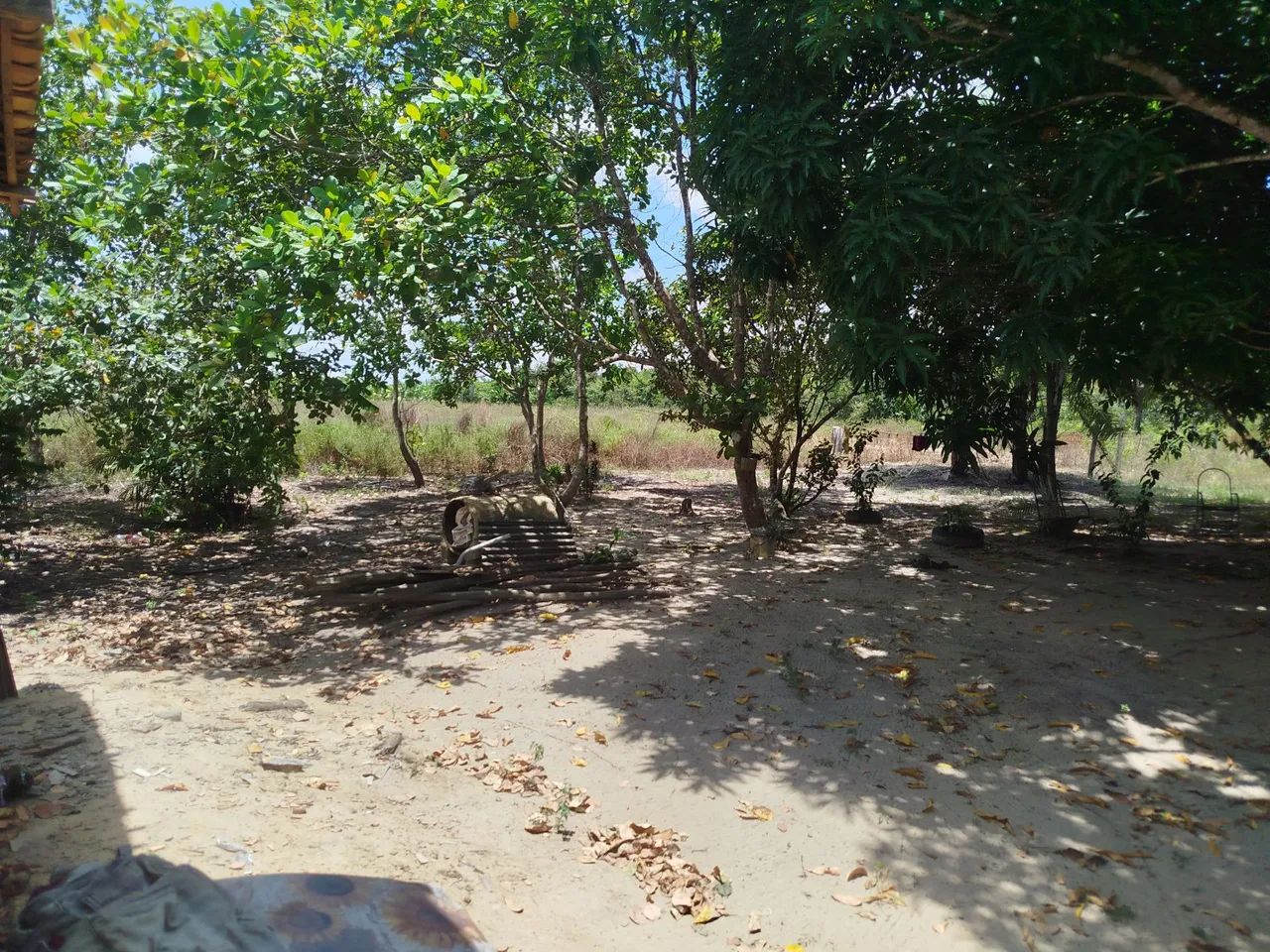 Sitio Rural  - Foto 5