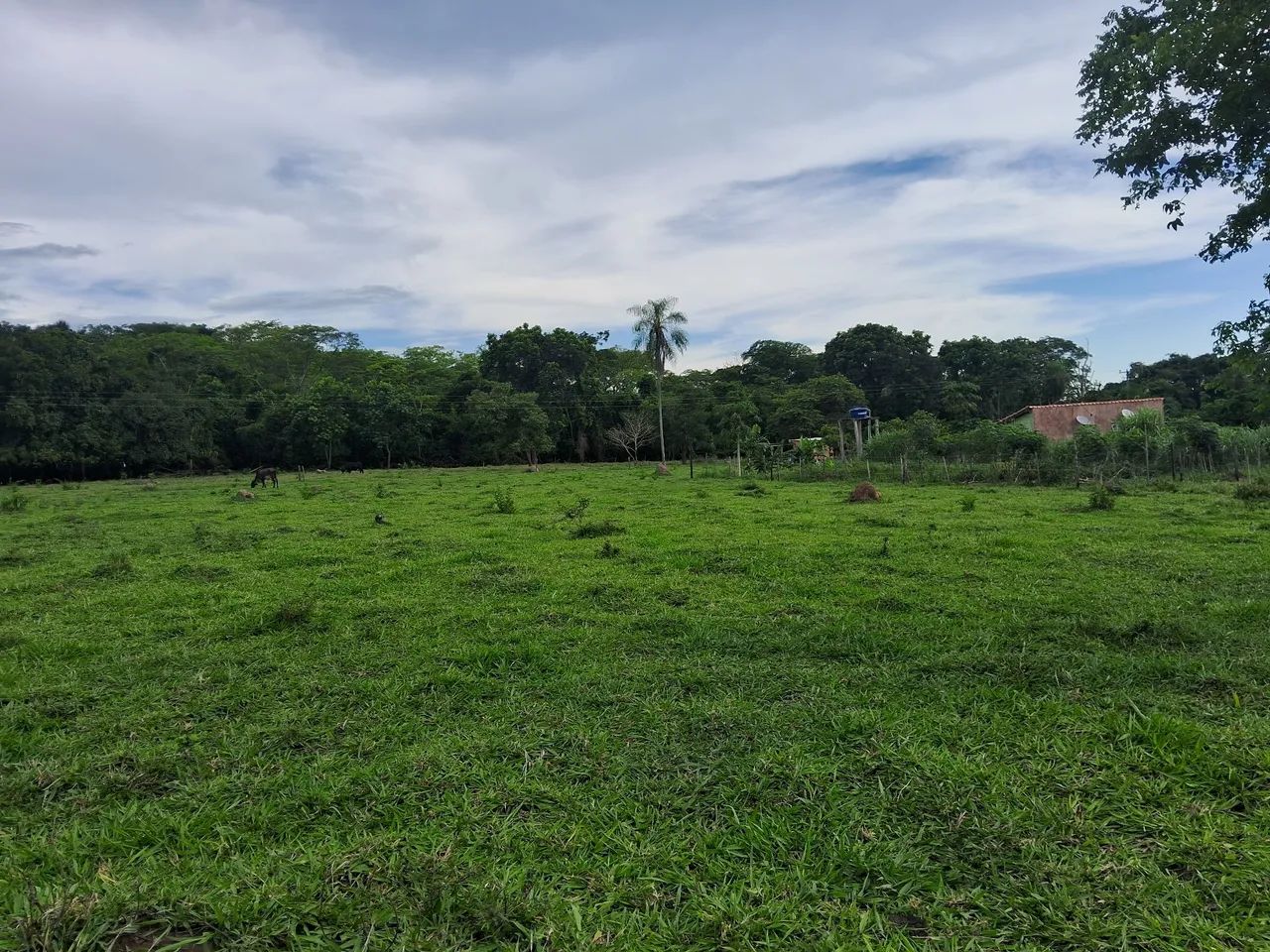 Chacara Taboco, Corguinho MS - Foto 2