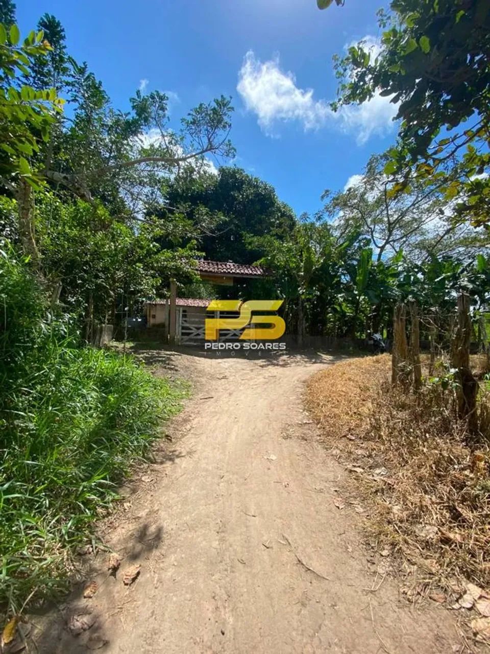 CHACARA A VENDA COM 1.20 HECTARS EM SOLANEA -PB - Foto 4