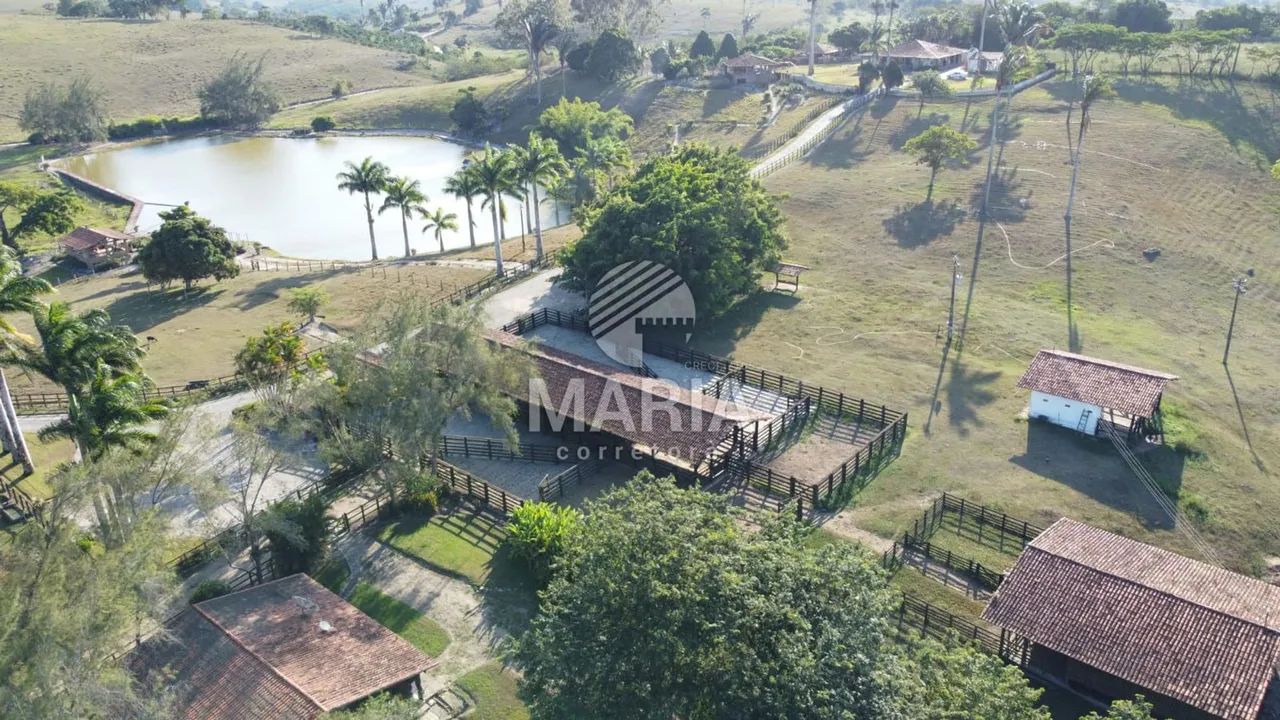 Fazenda à venda com 300 hectares com excelente acesso e uma extraordinária vista!! - Foto 9