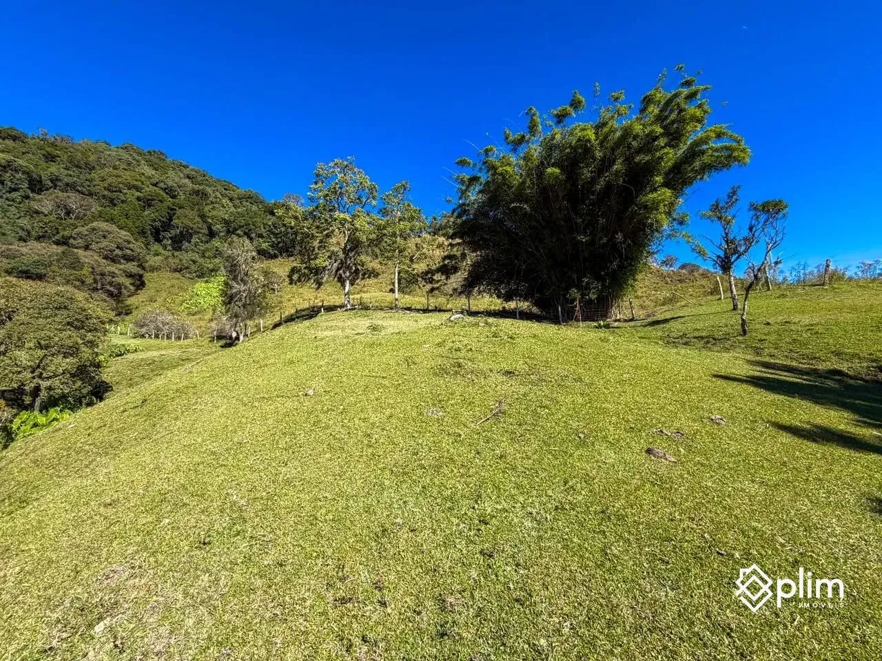Sítio de 10 hectares com RIO na Pedra Branca  Alfredo Wagner, SC - Foto 3