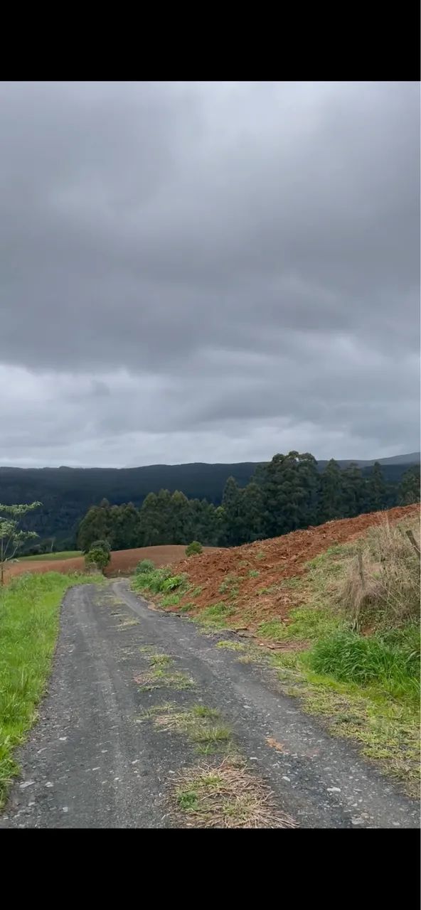Venda área rural 1 há.  - Foto 4